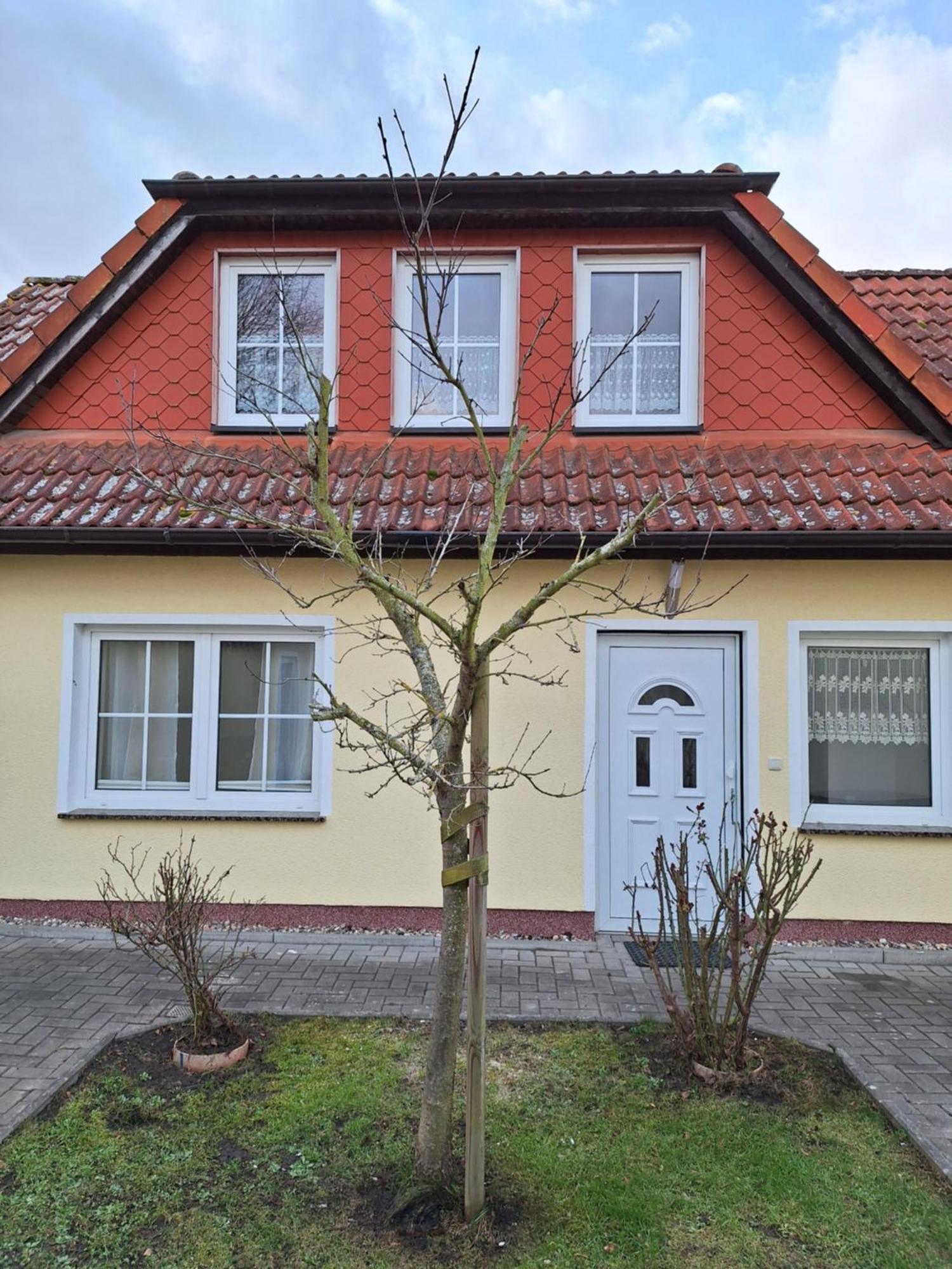 Emma Greifswald